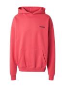 Pegador Sweatshirt  pink / sort