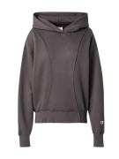 Champion Authentic Athletic Apparel Sweatshirt  antracit