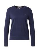 TOMMY HILFIGER Pullover  blå