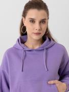 Jacey Quinn Sweatshirt 'Heide'  lilla