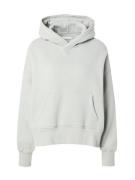 Abercrombie & Fitch Sweatshirt  lysegrå