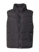 Noisy may Vest 'NMDalcon'  sort