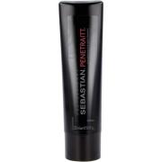 Sebastian Professional Penetraitt Penetraitt Shampoo 250 ml