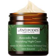 Antipodes Avocado Pear Nourishing Night Cream 60 ml