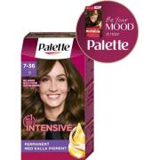 Schwarzkopf Palette Intensive Creme Coloration 7-36 Frozen Light