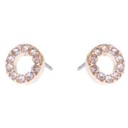 Dazzling Klassiker Earrings Bright Circle Gold