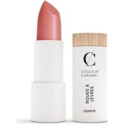 Couleur Caramel Matt Lipstick Soft Pink Nude n°284