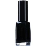 Pierre Rene Nail Polish 302 Devil Black