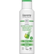 Lavera Freshness & Balance shampoo 250 ml