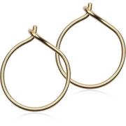 Blomdahl Golden Titanium Ear Ring 12 mm