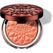 By Terry Tea to Tan Powder Blush N2 Melon Melody