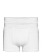 Mutlipack Boxer Brief Modal Boxershorts White Bread & Boxers