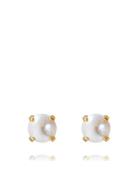 Classic Stud Earring Accessories Jewellery Earrings Studs Gold Caroline Svedbom