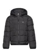 Light Padded Shield Jacket Foret Jakke Black GANT