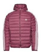 Pad Hooded Puff Foret Jakke Purple Adidas Originals