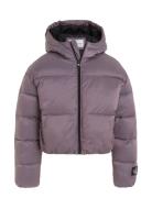 Hyper Two T Padded Bomber Foret Jakke Purple Calvin Klein