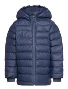 Pu Winter Jacket Foret Jakke Blue CeLaVi