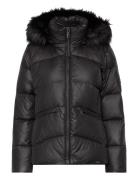 Essential Real Down Jacket Foret Jakke Black Calvin Klein