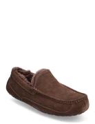 M Ascot Slippers Hjemmesko Brown UGG