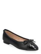 Ellison Ballerina Ballerinasko Ballerinaer Black Steve Madden