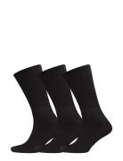 Claudio Socks Tennis 3-Pack Underwear Socks Regular Socks Black Claudio