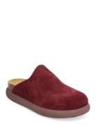 Sl Ivy Suede Aubergine Shoes Mules & Slip-ins Flat Mules Burgundy Scholl