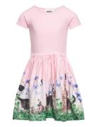 Cissa Dresses & Skirts Dresses Casual Dresses Short-sleeved Casual Dresses Pink Molo