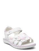 Pal 38841 Shoes Summer Shoes Sandals White Primigi