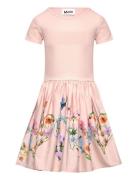 Cissa Dresses & Skirts Dresses Casual Dresses Short-sleeved Casual Dresses Pink Molo