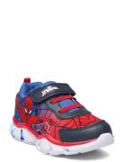 Spiderman Sneakers Low-top Sneakers Multi/patterned Spider-man
