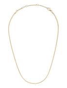 Elan Flat Chain Necklace Short G Accessories Jewellery Necklaces Chain Necklaces Gold Daniel Wellington