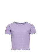 Kognella S/S O-Neck Top Noos Jrs Tops T-Kortærmet Skjorte Purple Kids Only