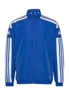 Sq21 Pre Jkt Sport Sweatshirts & Hoodies Sweatshirts Blue Adidas Performance