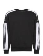 Squadra21 Sweat Top Sport Sweatshirts & Hoodies Sweatshirts Black Adidas Performance