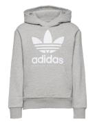 Trefoil Hoodie Tops Sweatshirts & Hoodies Hoodies Grey Adidas Originals