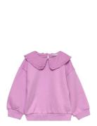 Nmfnanna Ls Swe Bru Tops Sweatshirts & Hoodies Sweatshirts Purple Name It