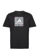 Sport Optimist Sun Logo Sportswear Graphic T-Shirt  Sport T-Kortærmet Skjorte Black Adidas Performance