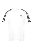 Lk 3S Co Tee Sport T-Kortærmet Skjorte White Adidas Performance