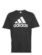 Essentials Single Jersey Big Logo T-Shirt Sport T-Kortærmet Skjorte Black Adidas Sportswear