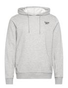 Ri Ft Left Chest Oth Sport Sweatshirts & Hoodies Hoodies Grey Reebok Classics