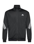 3-Stripe Knitted Jacket Sport Sweatshirts & Hoodies Sweatshirts Black Adidas Performance