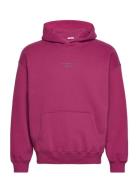 Anf Mens Sweatshirts Tops Sweatshirts & Hoodies Hoodies Purple Abercrombie & Fitch