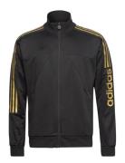 M Tiro Wm Tt Sport Sweatshirts & Hoodies Sweatshirts Black Adidas Sportswear