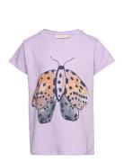 Sgpilou Garden Swarm Ss Tee Tops T-Kortærmet Skjorte Purple Soft Gallery