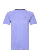 Odlo T-Shirt Crew Neck S/S Essential Seamless Sport T-shirts & Tops Short-sleeved Purple Odlo