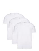 Bless 3 Pack Designers T-Kortærmet Skjorte White Reiss