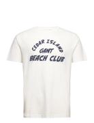 Cedar Graphic T-Shirt Tops T-Kortærmet Skjorte White GANT