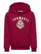 Sweat Kangourou Tops Sweatshirts & Hoodies Hoodies Red Harry Potter