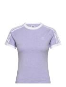 3 S Rgln Tee Sport T-shirts & Tops Short-sleeved Purple Adidas Originals
