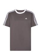 W 3S Bf T Sport T-shirts & Tops Short-sleeved Brown Adidas Sportswear